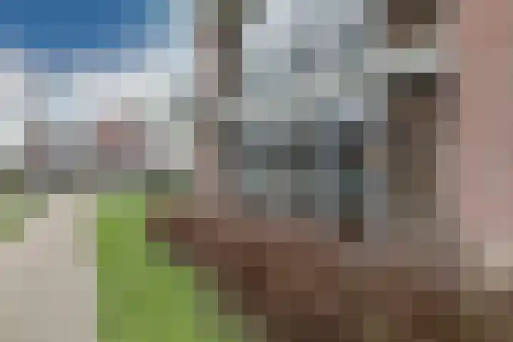 Dr. F.W. Klaarenbeeksingel 4 Hoevelaken thumbnail 25