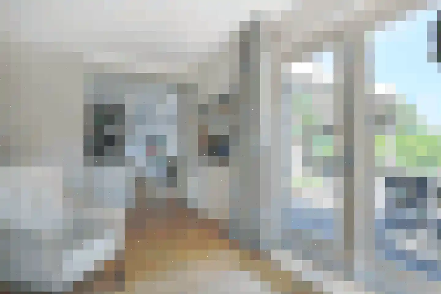 Dr. F.W. Klaarenbeeksingel 69 Hoevelaken thumbnail 10