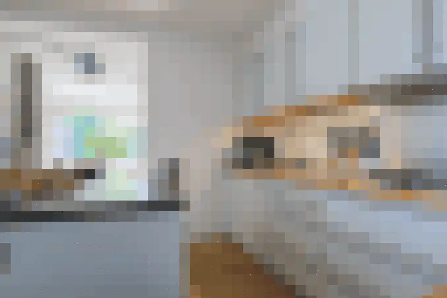 Dr. F.W. Klaarenbeeksingel 69 Hoevelaken thumbnail 17