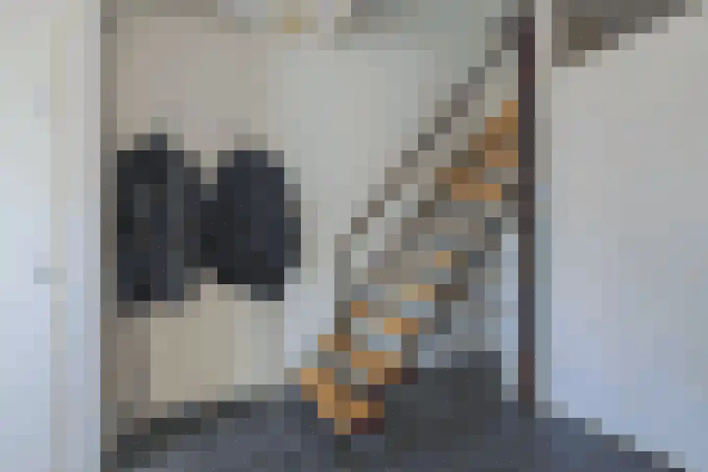 Dr. F.W. Klaarenbeeksingel 69 Hoevelaken thumbnail 19