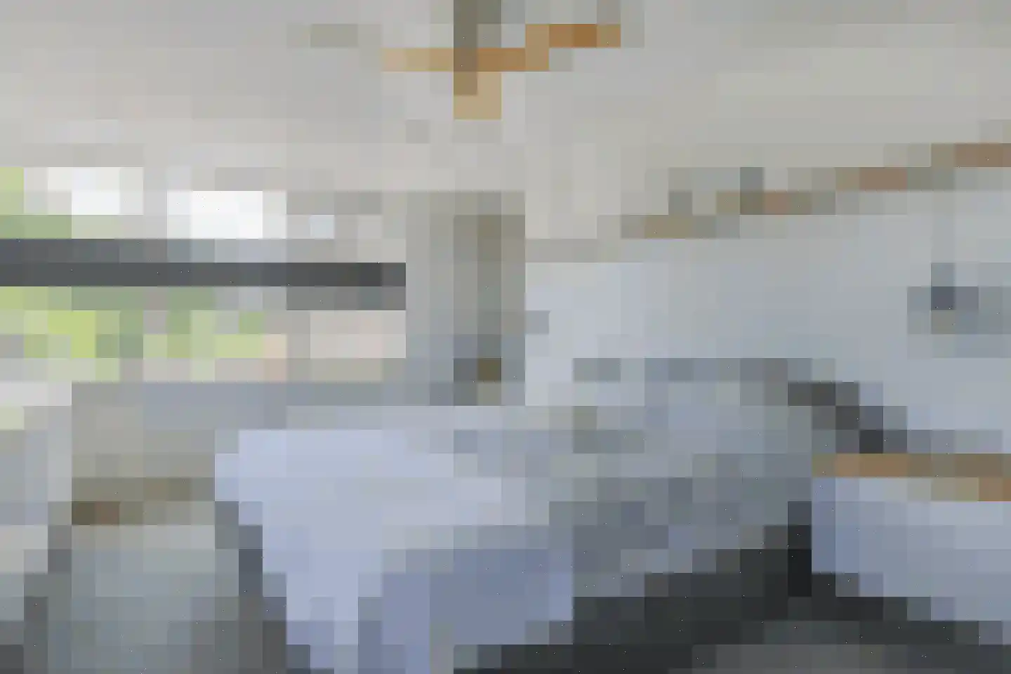 Dr. F.W. Klaarenbeeksingel 69 Hoevelaken thumbnail 22