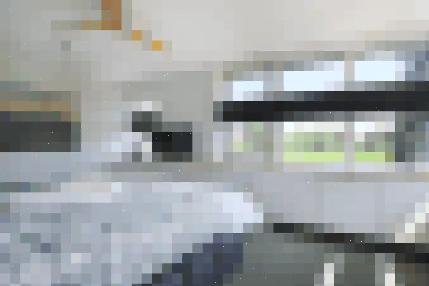 Dr. F.W. Klaarenbeeksingel 69 Hoevelaken thumbnail 25