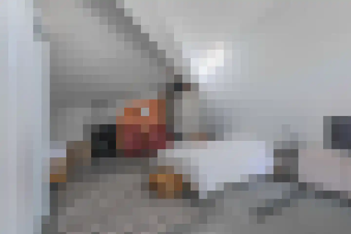 Dr. F.W. Klaarenbeeksingel 69 Hoevelaken thumbnail 35