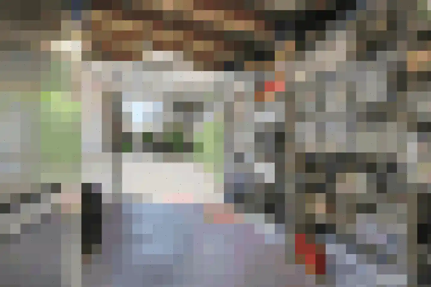 Dr. F.W. Klaarenbeeksingel 69 Hoevelaken thumbnail 53