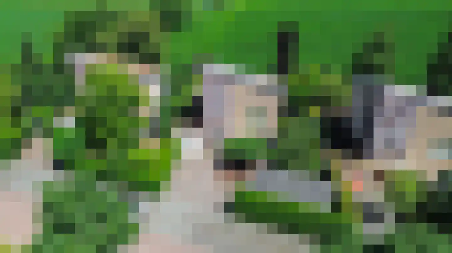 Dr. F.W. Klaarenbeeksingel 69 Hoevelaken thumbnail 59