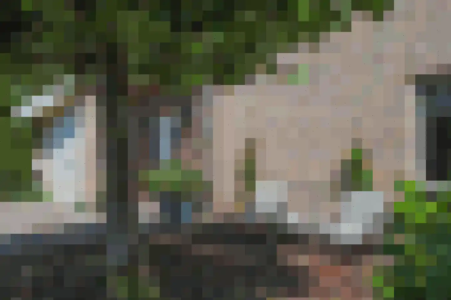 Dr. F.W. Klaarenbeeksingel 69 Hoevelaken thumbnail 62