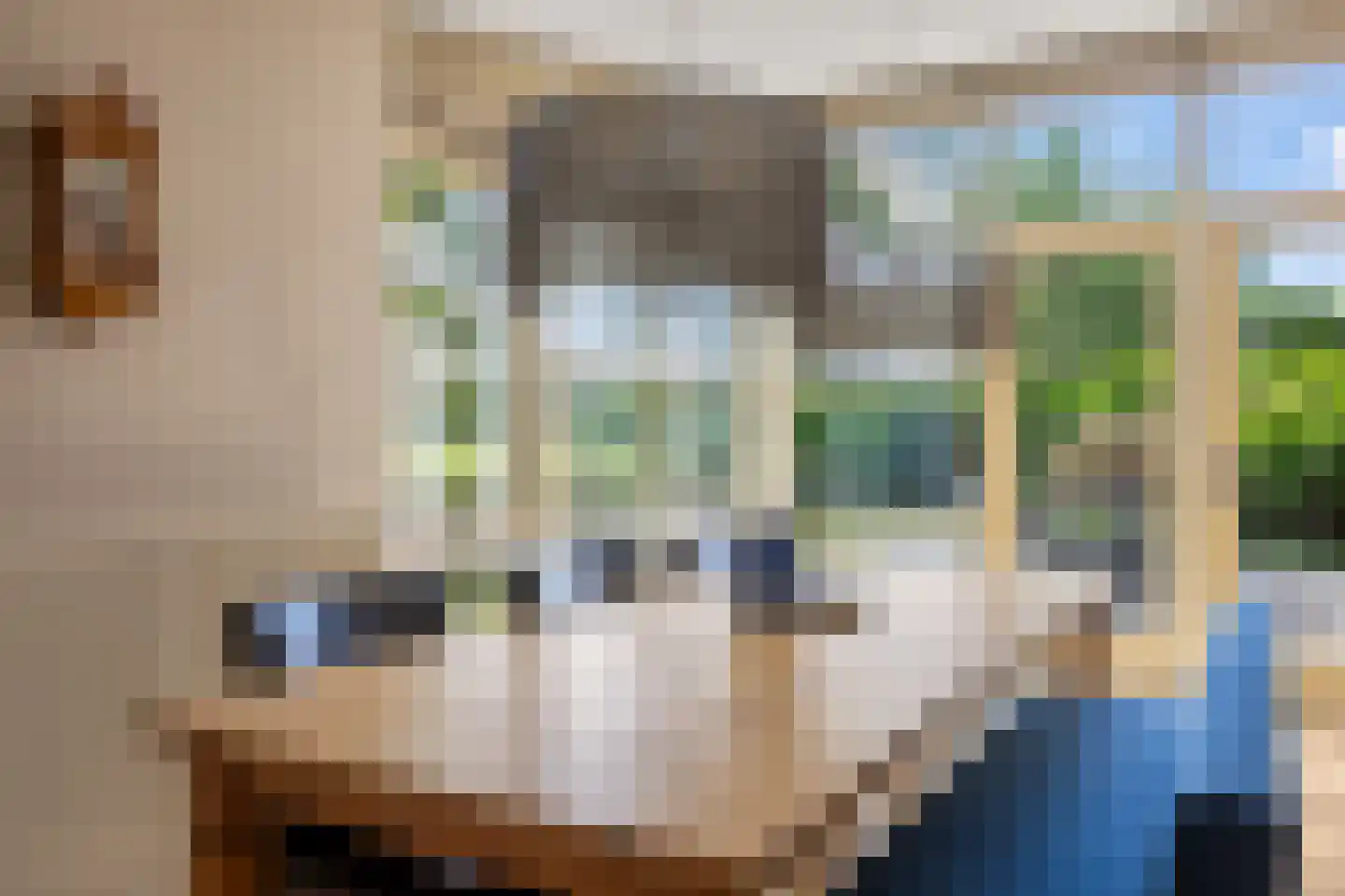 Dr. F.W. Klaarenbeeksingel 71 Hoevelaken thumbnail 23