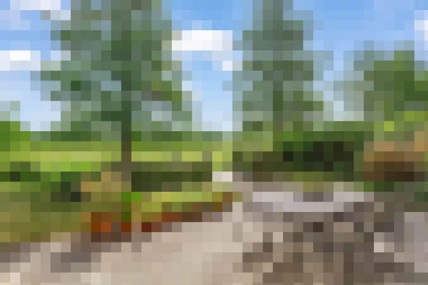 Dr. F.W. Klaarenbeeksingel 71 Hoevelaken thumbnail 43
