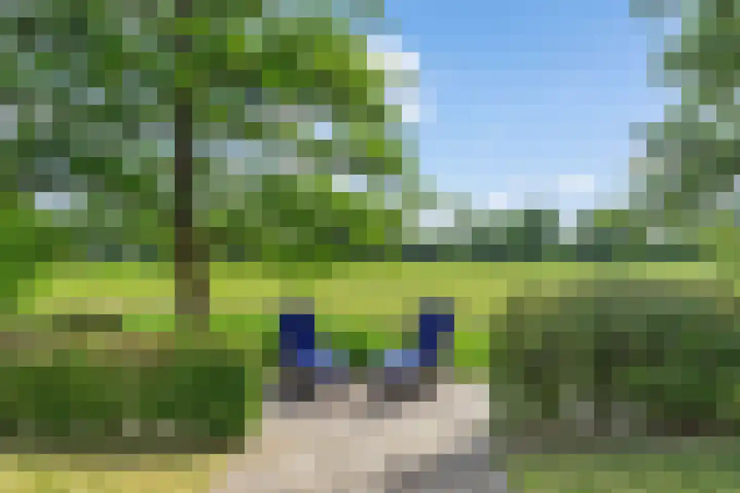 Dr. F.W. Klaarenbeeksingel 71 Hoevelaken thumbnail 45