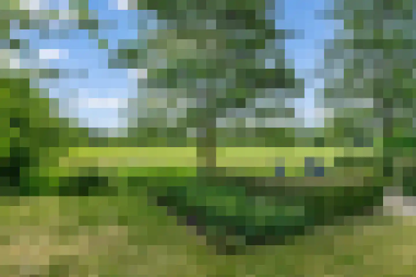 Dr. F.W. Klaarenbeeksingel 71 Hoevelaken thumbnail 47