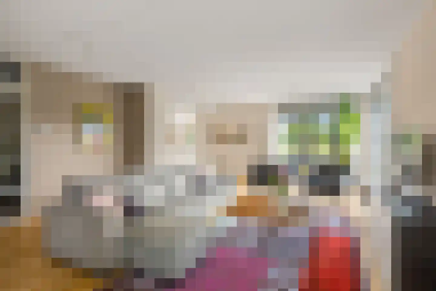 Dr. F.W. Klaarenbeeksingel 71 Hoevelaken thumbnail 9