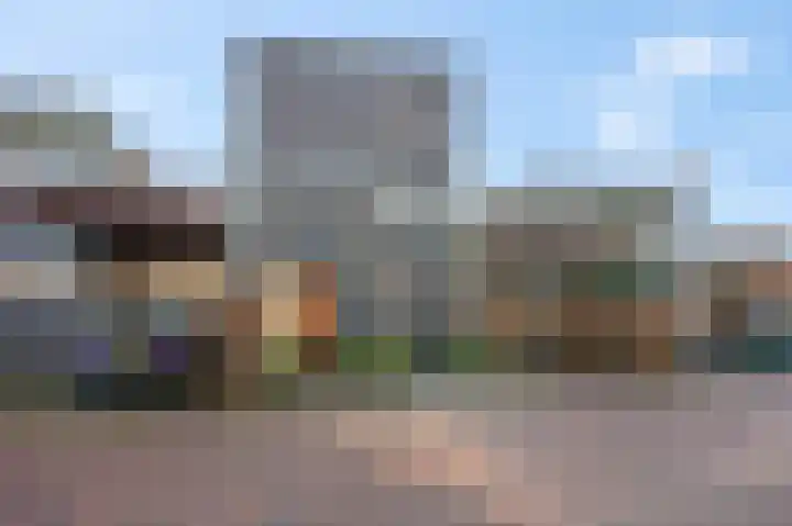 Dr. F.W. Klaarenbeeksingel 78 Hoevelaken thumbnail 37