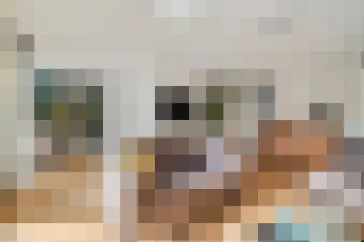 Dr. F.W. Klaarenbeeksingel 78 Hoevelaken thumbnail 5