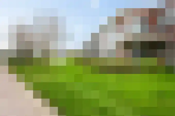 Dr. F.W. Klaarenbeeksingel 98 Hoevelaken thumbnail 19