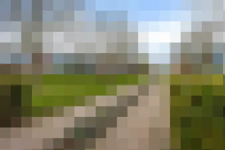 Dr. F.W. Klaarenbeeksingel 98 Hoevelaken thumbnail 24