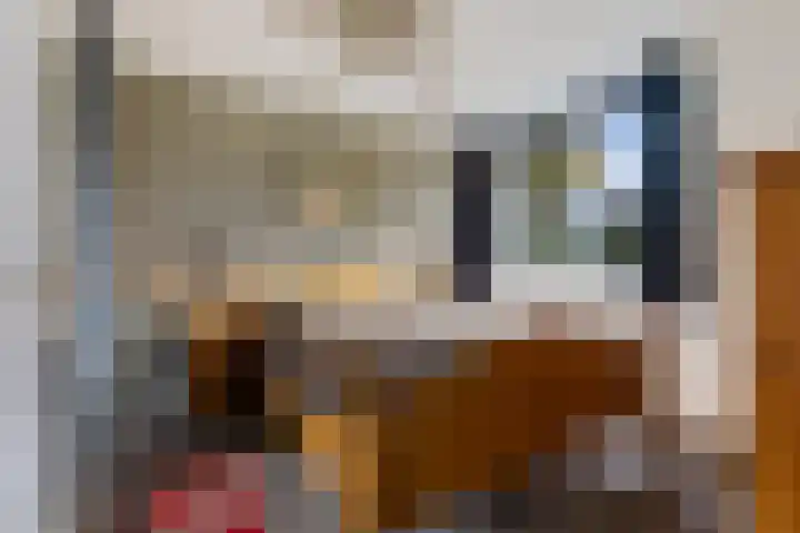 Dr. F.W. Klaarenbeeksingel 98 Hoevelaken thumbnail 5