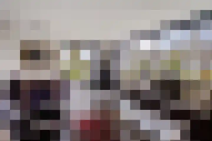 Dr. F.W. Klaarenbeeksingel 98 Hoevelaken thumbnail 9