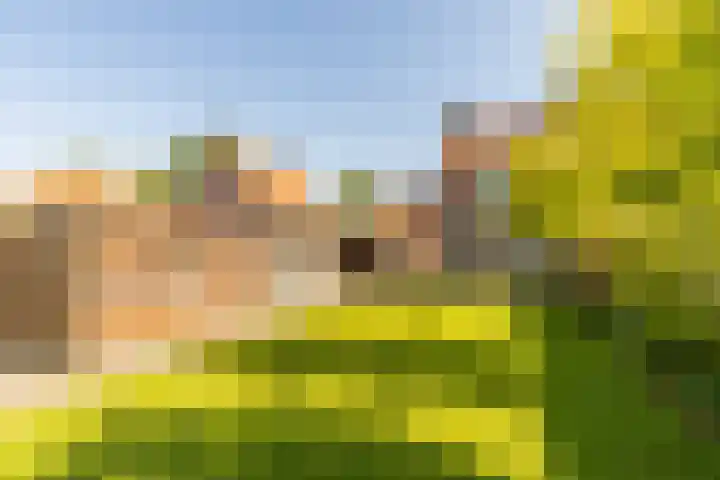 Dr Feijstraat 30 Oirschot thumbnail 32