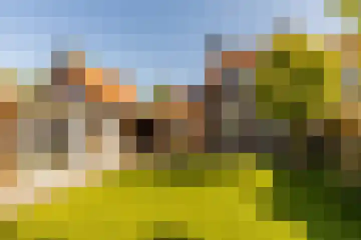 Dr Feijstraat 30 Oirschot thumbnail 33