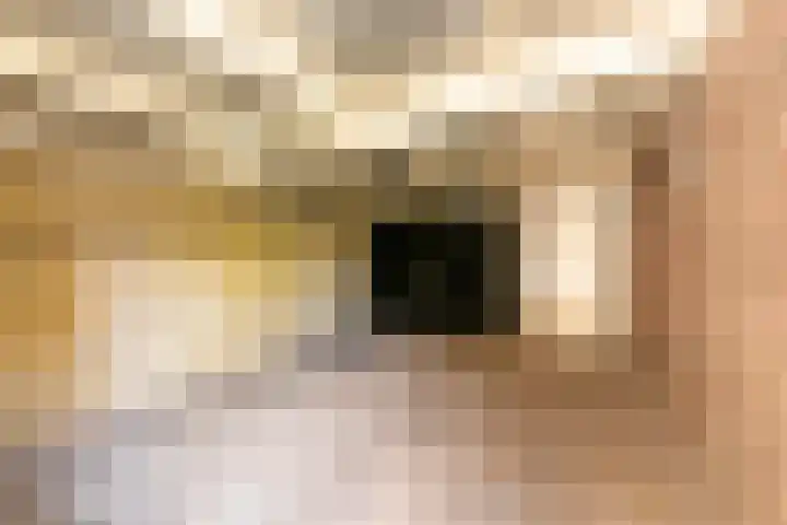 Dr Feijstraat 30 Oirschot thumbnail 37