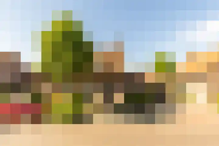 Dr Feijstraat 30 Oirschot thumbnail 4