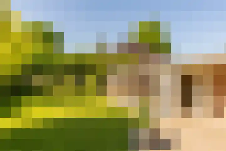 Dr Feijstraat 30 Oirschot thumbnail 42