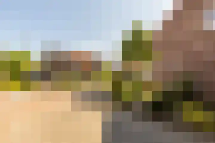 Dr Feijstraat 30 Oirschot thumbnail 48