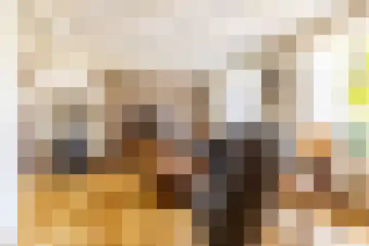 Dr Feijstraat 30 Oirschot thumbnail 8
