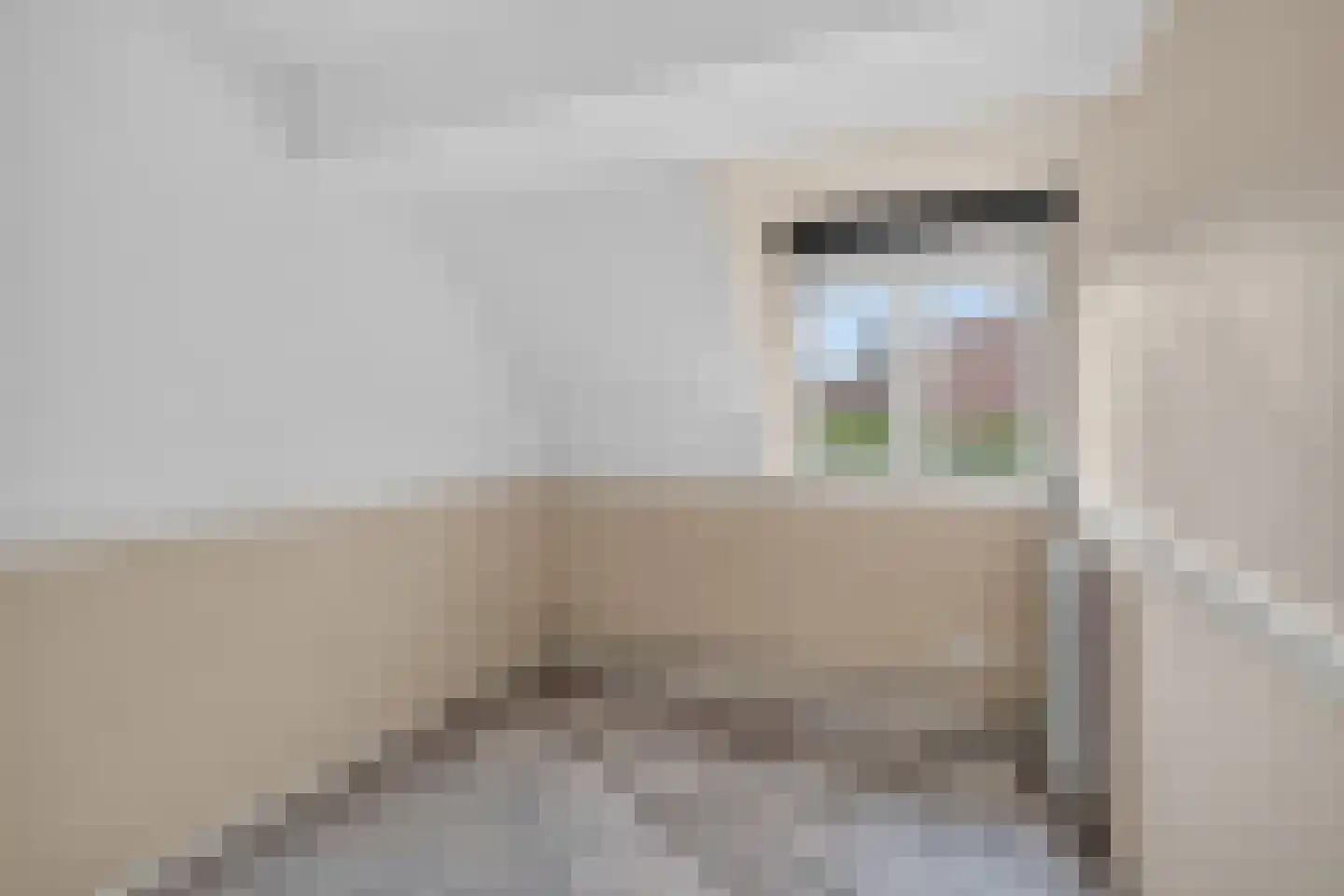Dr Feijstraat 38 Oirschot thumbnail 15