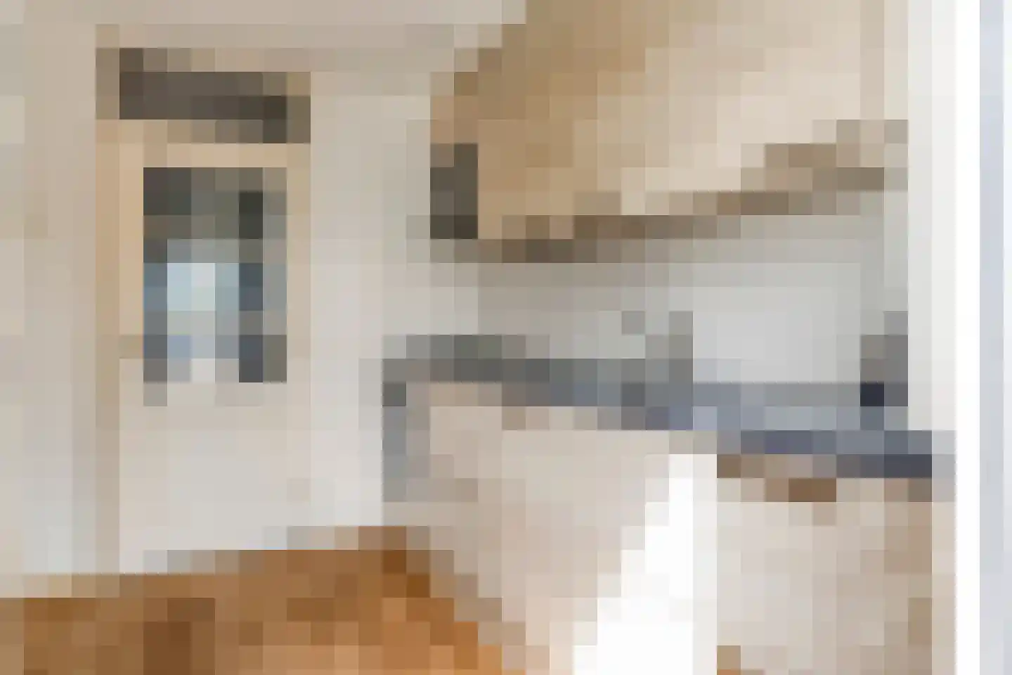 Dr Flemingstraat 49 Bovenkarspel thumbnail 12