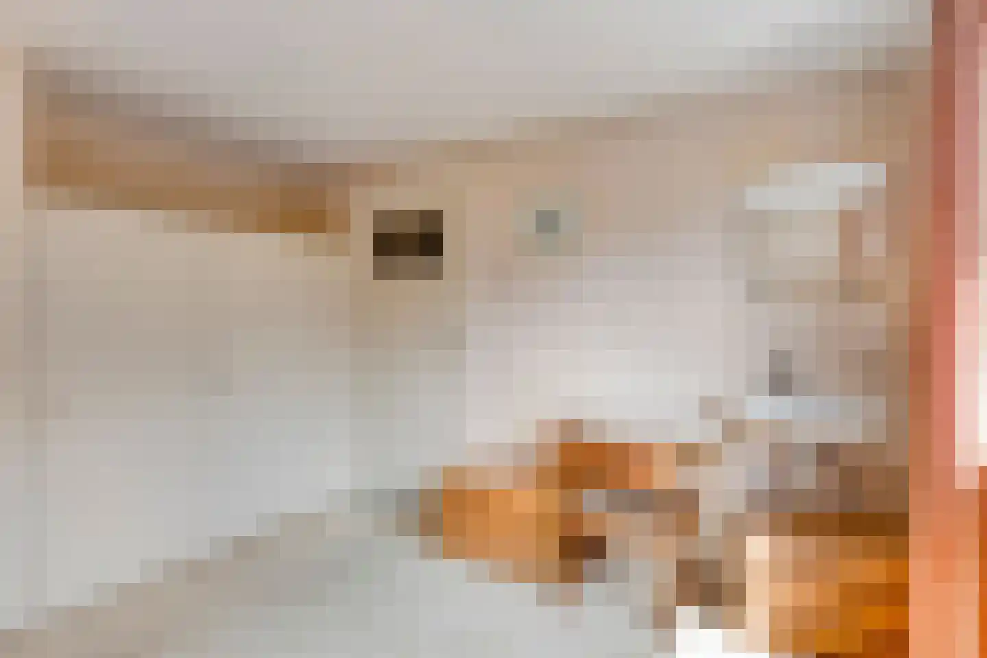 Dr Flemingstraat 49 Bovenkarspel thumbnail 17