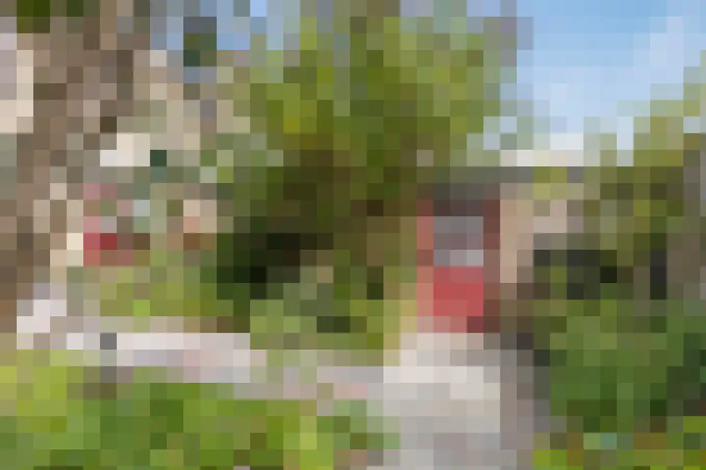 Dr Flemingstraat 49 Bovenkarspel thumbnail 28