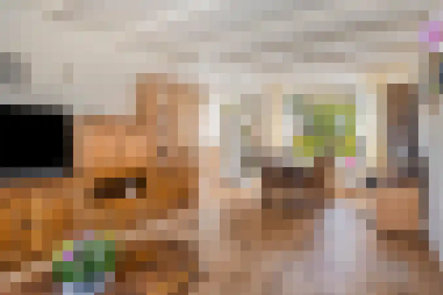 Dr Flemingstraat 49 Bovenkarspel thumbnail 7