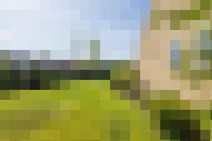 Dr Frederiksstraat 43 Losser thumbnail 32