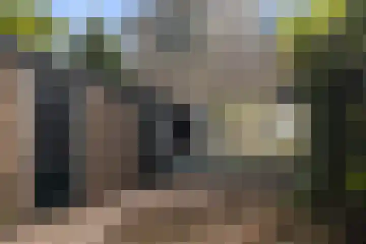 Dr. G.A. Wumkesstrjitte 27 Stiens thumbnail 12