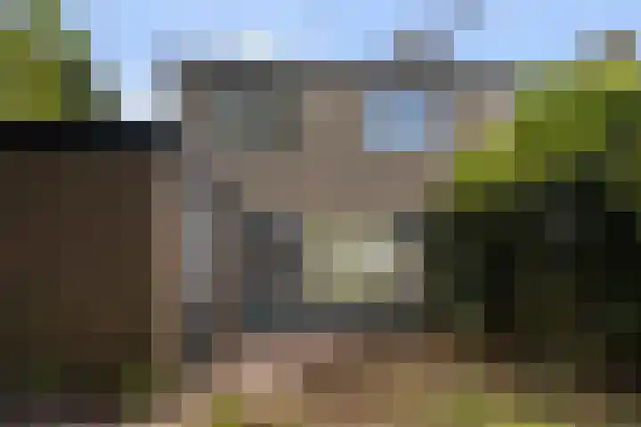 Dr. G.A. Wumkesstrjitte 27 Stiens thumbnail 13