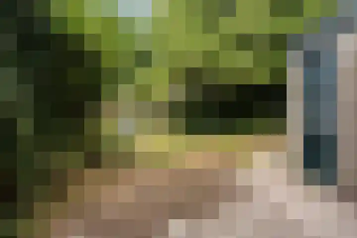 Dr. G.A. Wumkesstrjitte 27 Stiens thumbnail 14