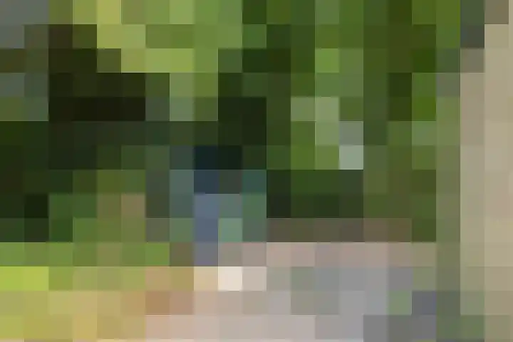 Dr. G.A. Wumkesstrjitte 27 Stiens thumbnail 15
