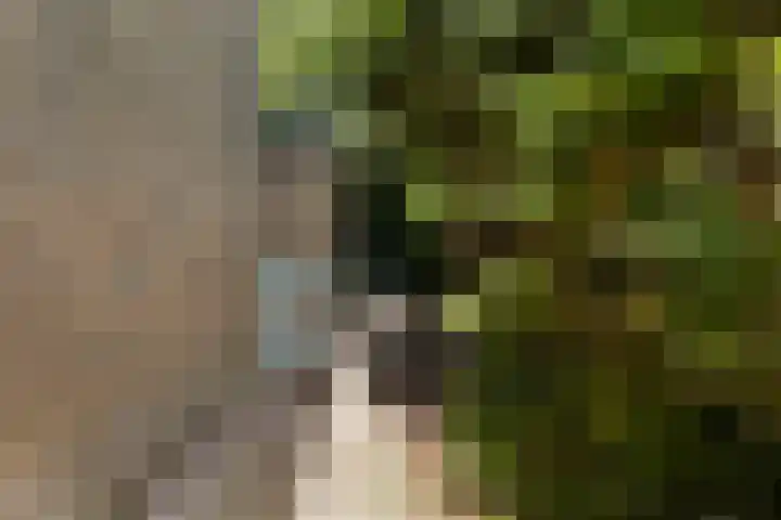 Dr. G.A. Wumkesstrjitte 27 Stiens thumbnail 16