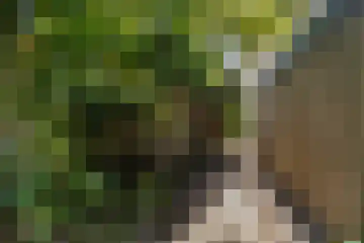 Dr. G.A. Wumkesstrjitte 27 Stiens thumbnail 17
