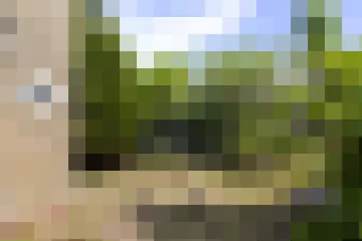 Dr. G.A. Wumkesstrjitte 27 Stiens thumbnail 18