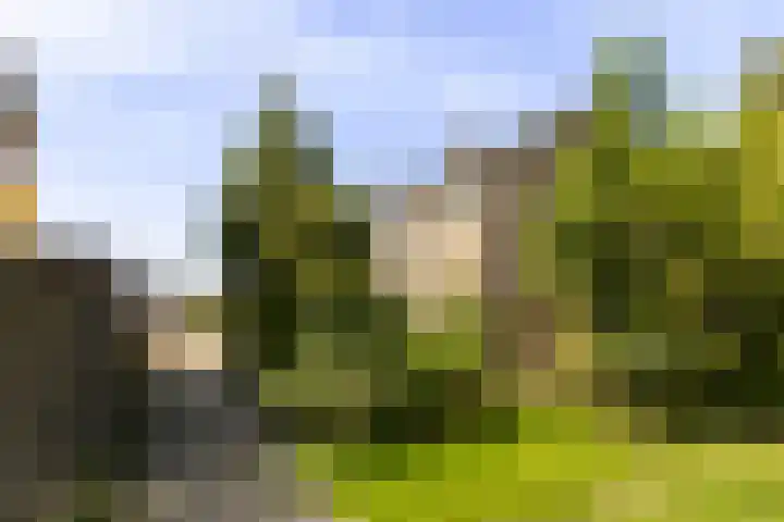 Dr. G.A. Wumkesstrjitte 27 Stiens foto 2