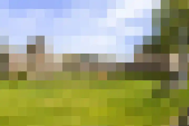 Dr. G.A. Wumkesstrjitte 27 Stiens thumbnail 29