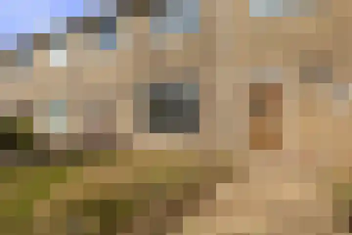 Dr. G.A. Wumkesstrjitte 27 Stiens thumbnail 4