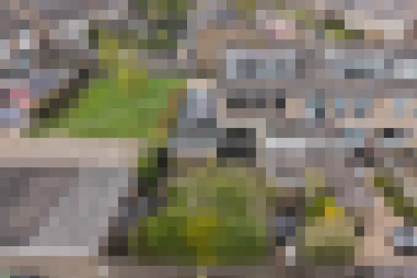 Dr. G.A. Wumkesstrjitte 35 Stiens thumbnail 30