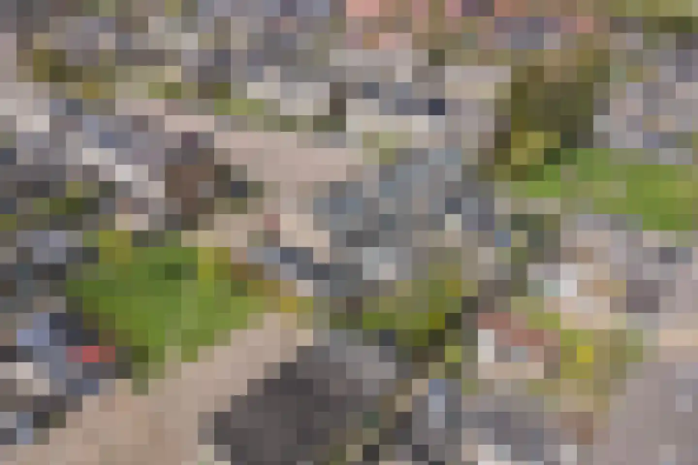 Dr. G.A. Wumkesstrjitte 35 Stiens thumbnail 35