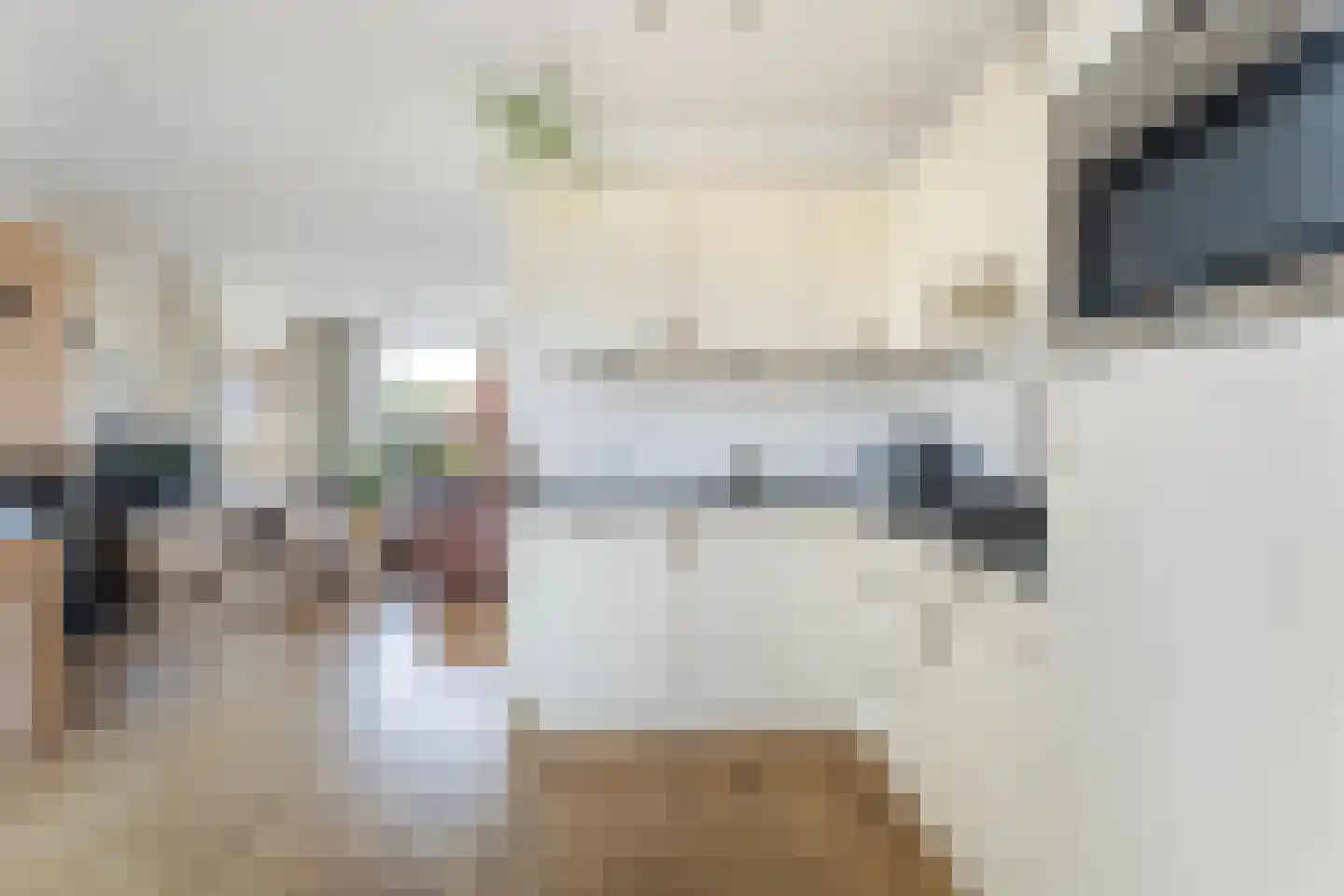 Dr. G.A. Wumkesstrjitte 35 Stiens thumbnail 8