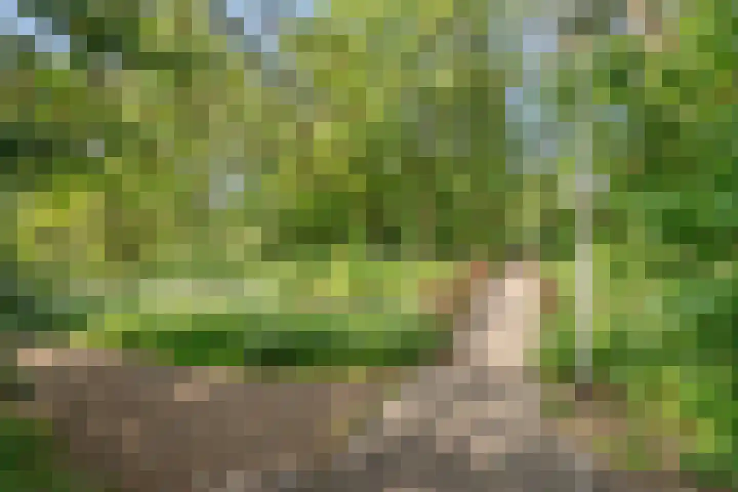 Dr. G. Knuttelpark 89 Den Haag thumbnail 30