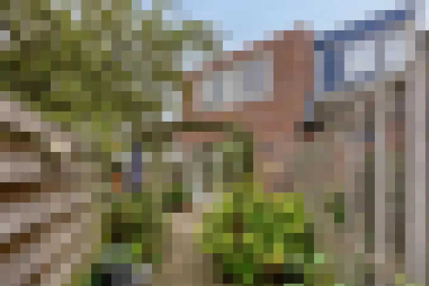 Dr. G. Knuttelstraat 11 Den Haag thumbnail 18