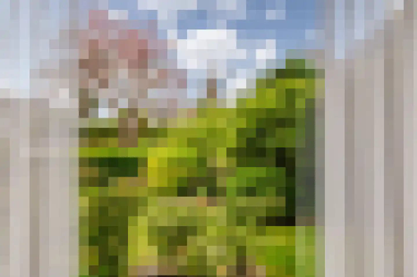 Dr G van Schouwenlaan 15 Heerenveen thumbnail 23